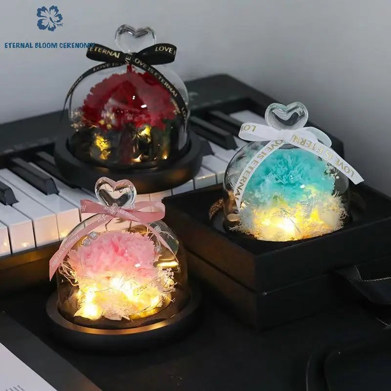 LED Light Preserved Carnation Glass Dome Light Box, Ambient Lighting Indoor Bedside Home Decor, Mother's Day Gift Item