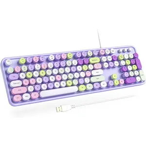 Computer Wired Keyboard, Plug Play USB Full-Size Keyboard with Large Number Pad, Caps Indicators, Foldable Stands, for Windows 7/8/10 PC Laptop (Purple Colorful)