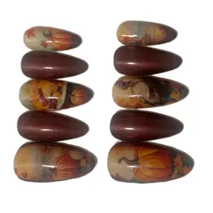 Thanksgiving Theme Press On Nail Set for Nail Art and Care - Nail Care