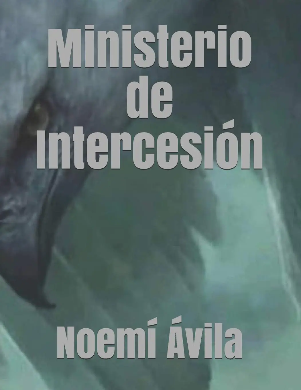 Ministerio de Intercesión (Spanish Edition)