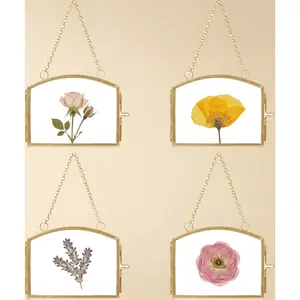 Gold double glass pressed flower frame set of 4 3x2 inch floating hanging with chain brass clear display for gallery artwork horizontal or vertical