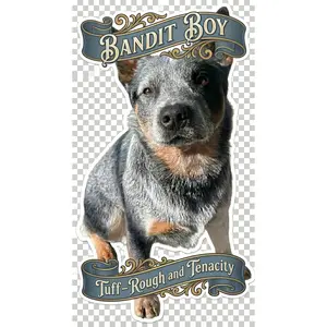 Bandit Boy Tenacity Helmet Window or Helmet Decal