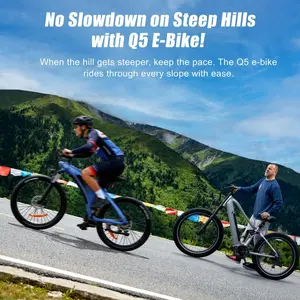 HX Q5 Adult Electric Mountain Bike - 2000W Motor, 48V 20Ah Removable Battery, Torque Sensor, Smooth Comfortable Ride