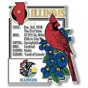 Illinois State Montage Magnet by Classic Magnets, 2.9" x 3.4"
