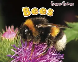 USED-Bees by Rissman, Rebecca (Paperback)