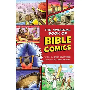 USED-The Awesome Book of Bible Comics by Silverthorne, Sandy (Paperback)