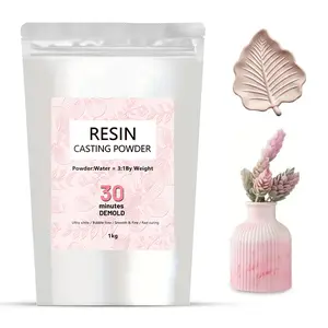 Resin Casting Powder 1kg, Fast Cure Resin Set for Beginners, 20-30 Minute Demolding, Water Fossil Gypsum Powder Kit, Easy Mix and Level