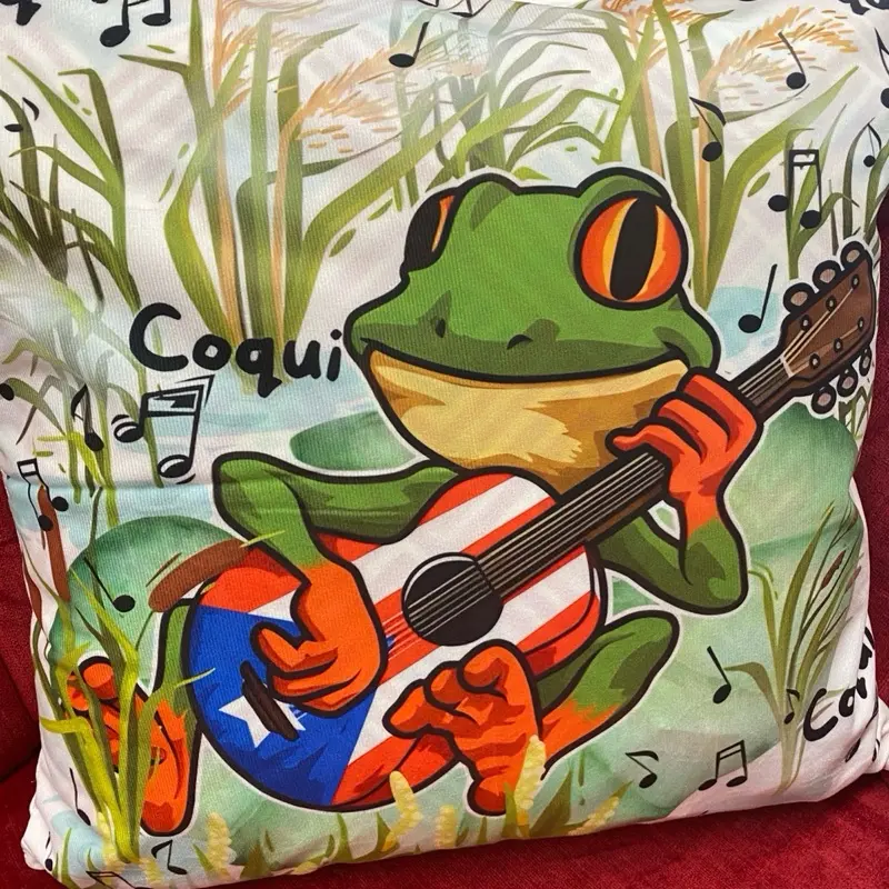 Coqui Puerto Rico Themed Throw Pillow Case Brand New Never Used Features Coqui Singing with Guitar Design
