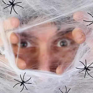 1pc Halloween Spider Web Decoration with 2/4 Spiders, Scary Gothic Home Decor for Parties, Unique Room and Home Decoration