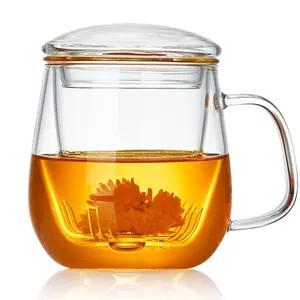 Glass Tea Cup with Filter and Lid, 17.6 Oz Borosilicate Teacup, Transparent Mug for Loose Leaf Tea, Microwave and Dishwasher Safe
