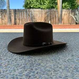 Tejana Sinaloa 200X Wool Western Hat