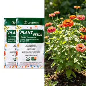 Zinnia Seeds for Home Gardening – Vibrant Summer Blooms, Drought-Tolerant Flowers, Patio, Container, and Backyard Planting