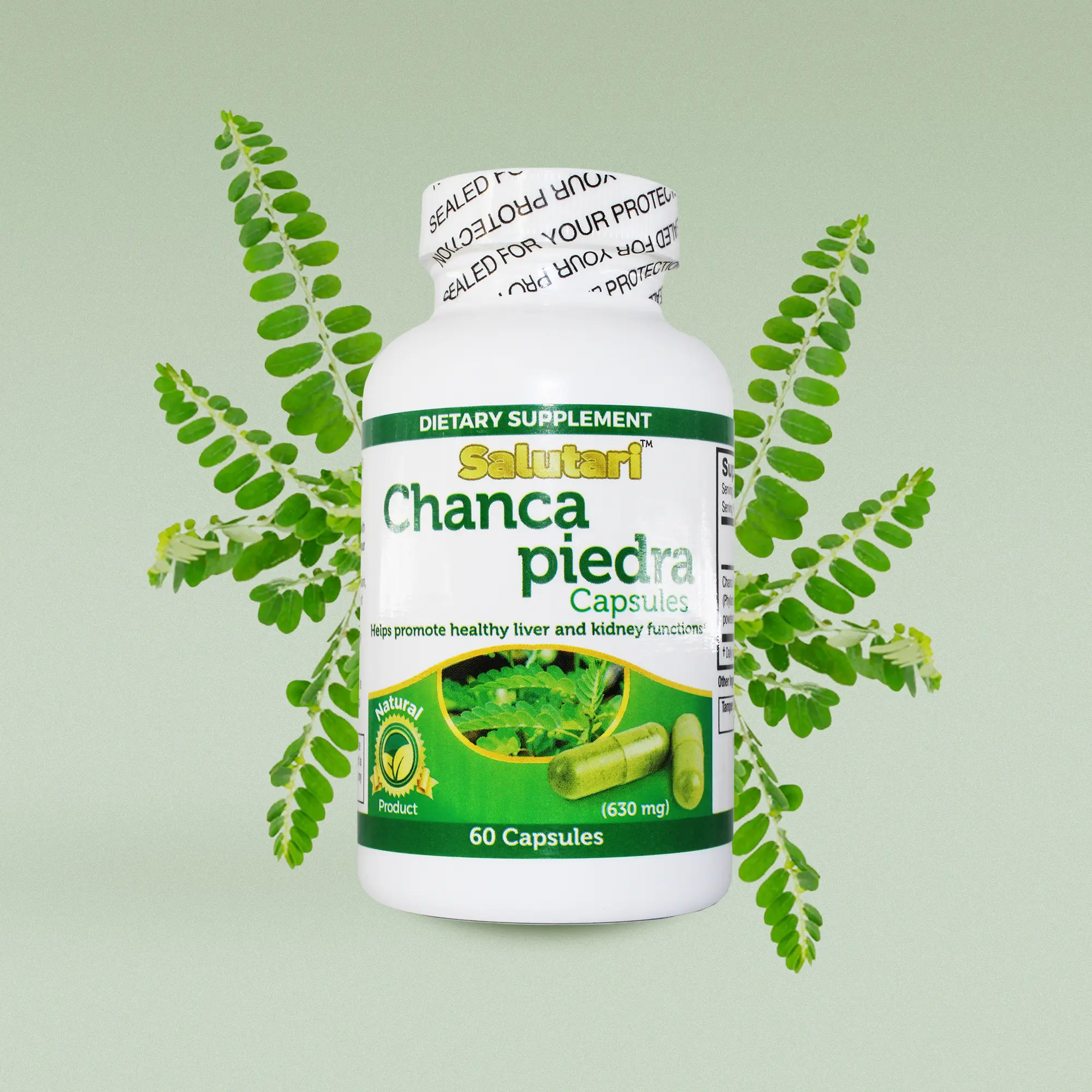 SALUTARI Chanca Piedra Stone Breaker, 60 Caps - Natural Stonebreaker Supplement for Kidney Health, Liver Cleanse and Gallbladder Support - Natural Detox Supplement