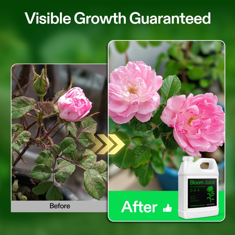 VIVOSUN Bloom Juice (0-6-4), Flowering Supplement Liquid Fertilizer for Flowering Stage, Concentrated Plant Food for All Flowering Plants, 32 Ounces/1 Quart