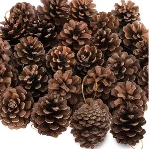 24 PCS Natural Pine Cones, Pinecone Ornaments, Pine Cones for Crafts Not Artificial Pine Cones - Rustic Mini 2-3cm Pinecones for Christmas Tree, Wreath, Centerpiece & DIY Holiday Crafts Decorations