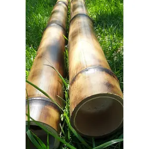 Bamboo Poles 2 pk 2.5-3" Diam. Natural Bamboo Indoor Outdoor Decor Tiki Decor Bamboo Construction Poles Garden Poles Water Feature Bamboo