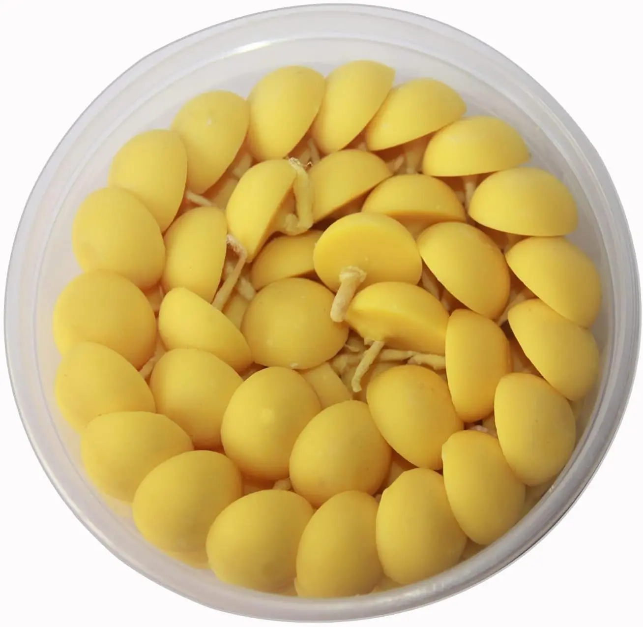 60 Pcs Ghee Diya Wicks | Upto 60 Min Burning Time | Cotton Wicks Diya | for Temple Prayers Diwali Puja Haloween Festival Lights Decoration | Oil Lamps | Filled with Clarified Butter | No Wax |