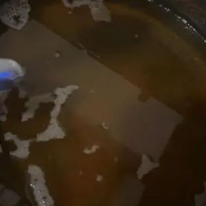 review image 7