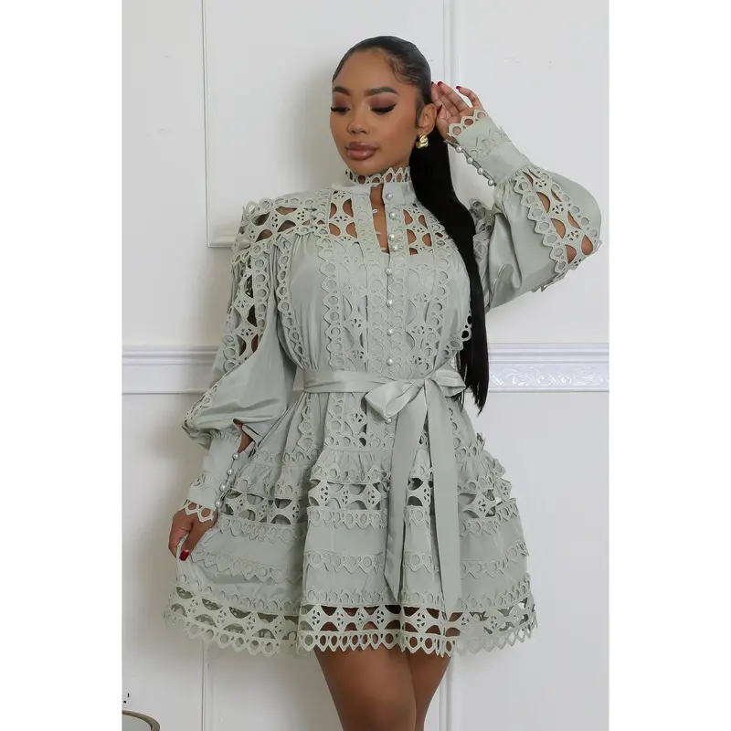 knee length dresses for ladies Aspen Puff Sleeve Eyelet Mini Dress