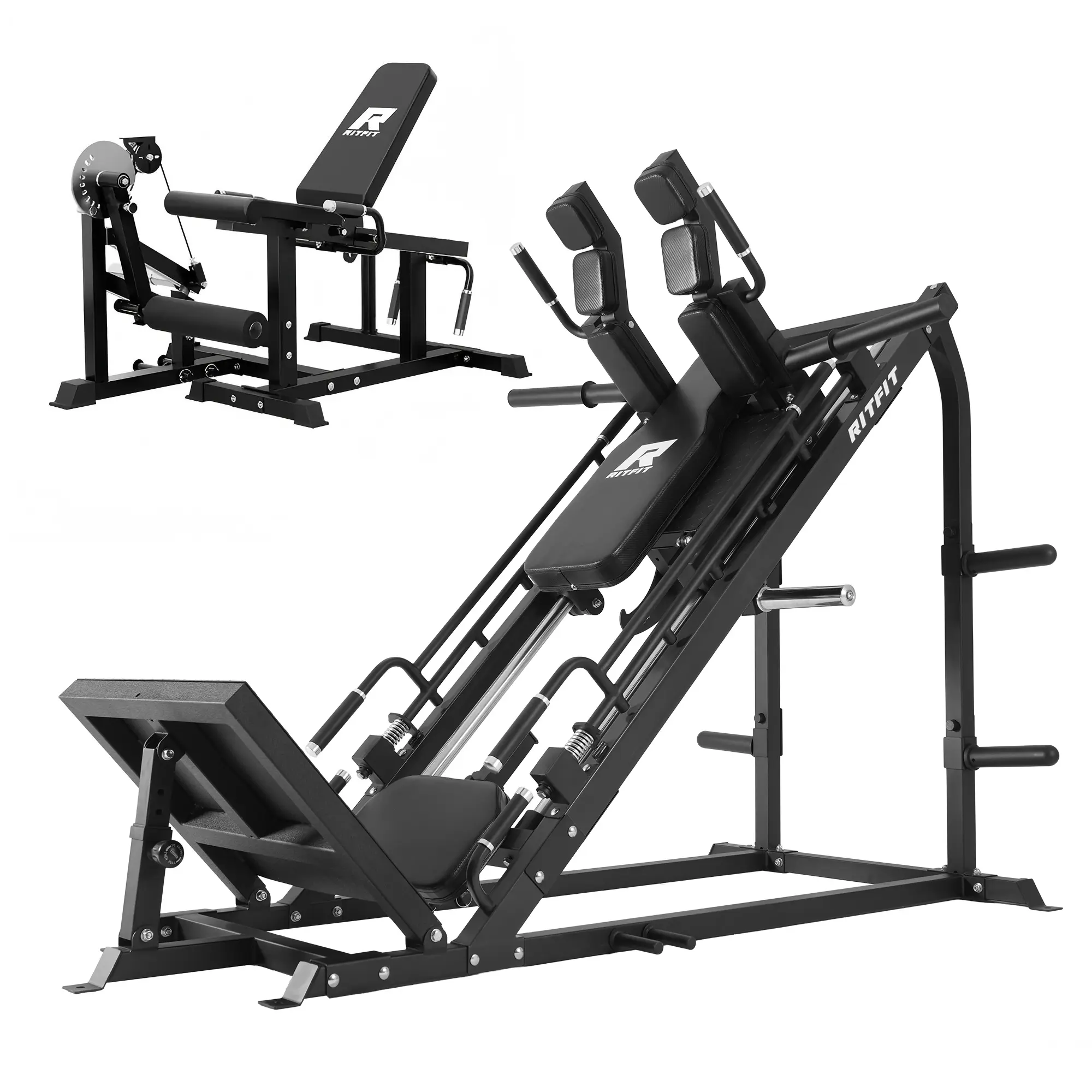Black Gazelle+Black PLC01