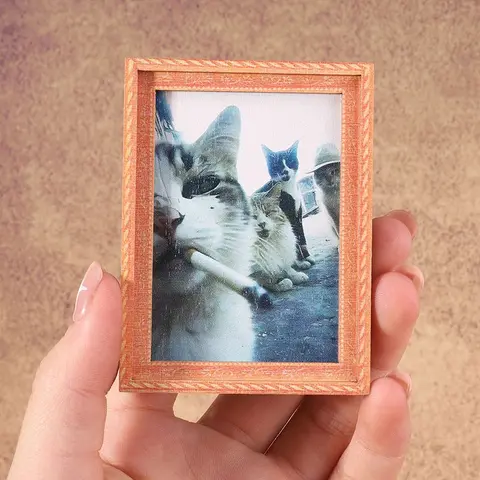 1-Pc Mini Framed Cat Photo Refrigerator Magnet, Funny Novelty Fridge Decor and Gift for Cat Lovers