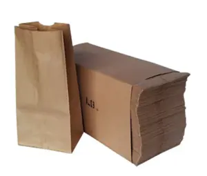 Brown Paper Bags Bulk 500 Bags! 4 Sizes #2, #4, #6, #8