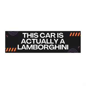 Anti-Elon Bumper Stickers for Tesla, Car Decal, Funny Vinyl Sticker, Cybertruck Accessories, Sarcastic Elon Musk Quote Decals