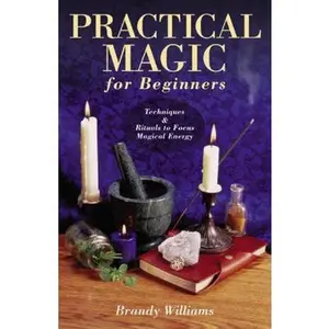 USED-Practical Magic for Beginners: Techniques & Rituals to Focus Magical Energy by Williams, Brandy (Paperback)
