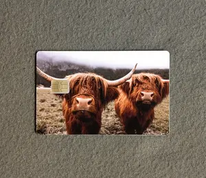 Mini Highland #35 Card Protector Sticker, Overlay, Decorative Only