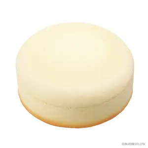 iBloom Squishy White Souffle Cheesecake Kawaii Soft Scented Slow Rising Stress Relief