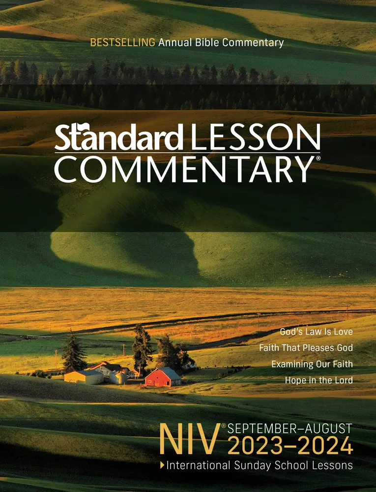 Used NIV Standard Lesson Commentary - Bible Study Book, Scripture Guide, Curriculum Supplement for Sunday School (David C Cook, English Paperback, Study Themes, Available Translations)