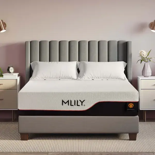 MLILY Dream