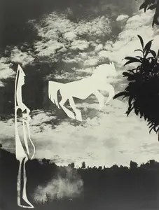 Pablo Picasso, Composition (Bloch 112; Kibbey 1466; Goeppert 115), Diurnes Découpages et Photographies, Limited Edition Phototype