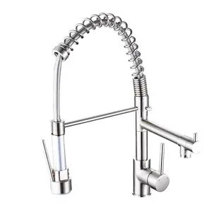 New Standard Single Handle kitchen faucet with pull-down kitchen faucet in Brushed Nickel