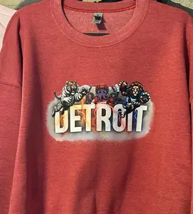 Detroit Fans Lions Tigers Red Wings Crew Neck Sweatshirt Mens Women's Unisex Fit Fleece Casual Long Sleeve Winter Tops
