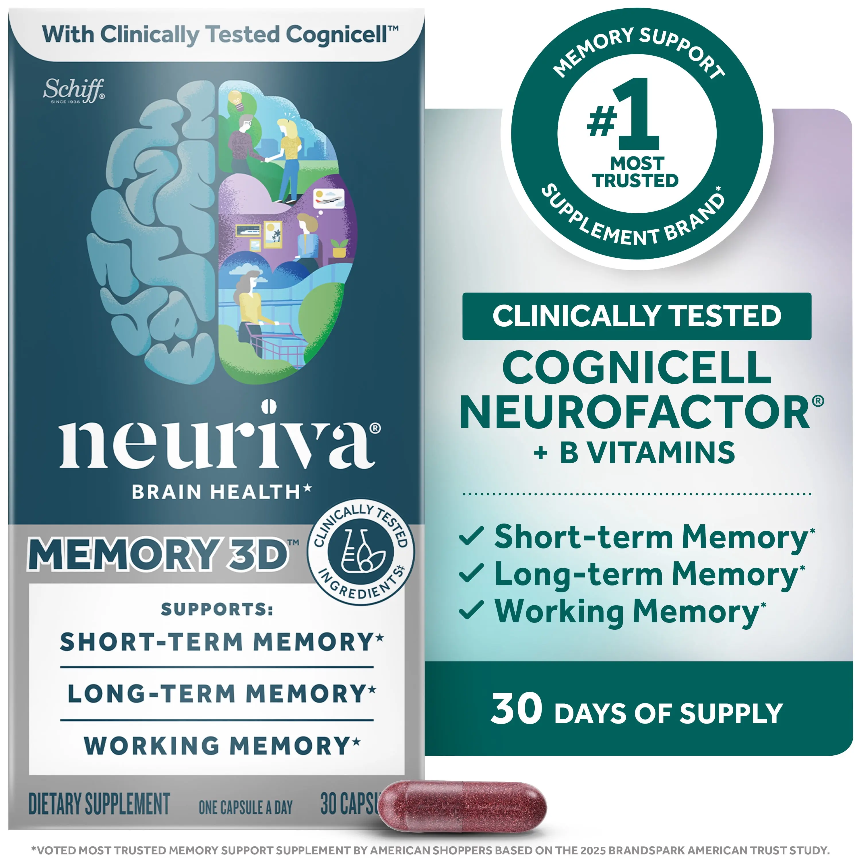 Neuriva Memory 3D Brain Supplements for Memory and Focus, Vitamin B12 & B6, Folic Acid, 30 Count Capsules