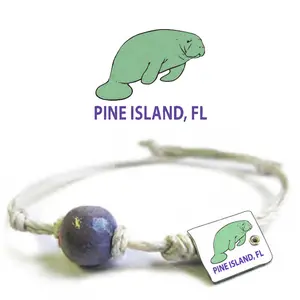 Manatee | Pine Island Fl