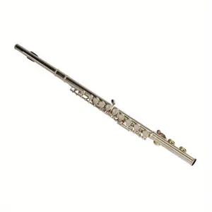 Nickel Plated C Closed Hole Concert Flute with E Key for Band Musicians Polished Woodwind Instrument Silvery Grey