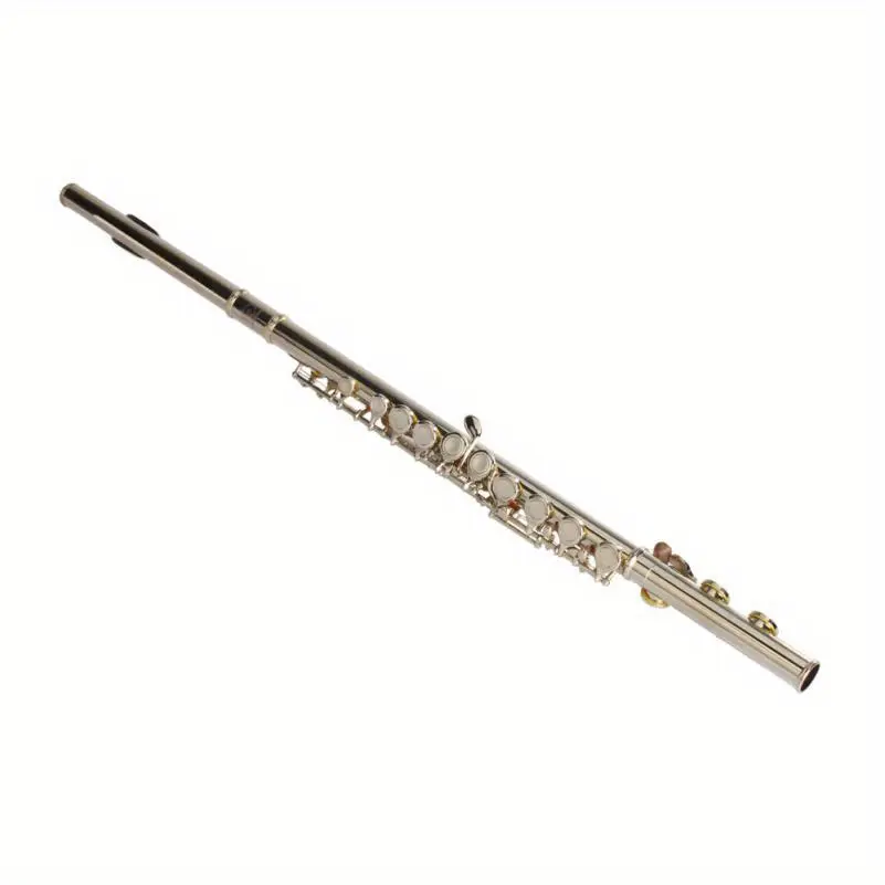 Nickel-Plated C Closed Hole Concert Flute with E Key, Polished Silvery Grey Woodwind Musical Instrument for Band Musicians, Musical Instruments