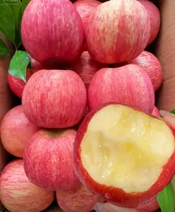 Potted Mini Apple Tree — Sweet, juicy fruit; easy to grow; bears fruit quickly; ideal for balconies, courtyards, and gardens; can be planted year-round; cold- and drought-tolerant; perfect for beginners.