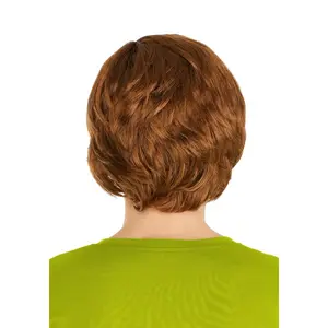 Men's Scooby Doo Shaggy Wig