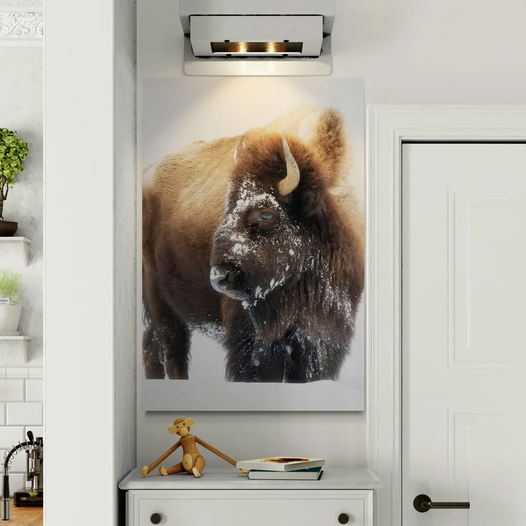 24" x 36" Buffalo Acrylic Print