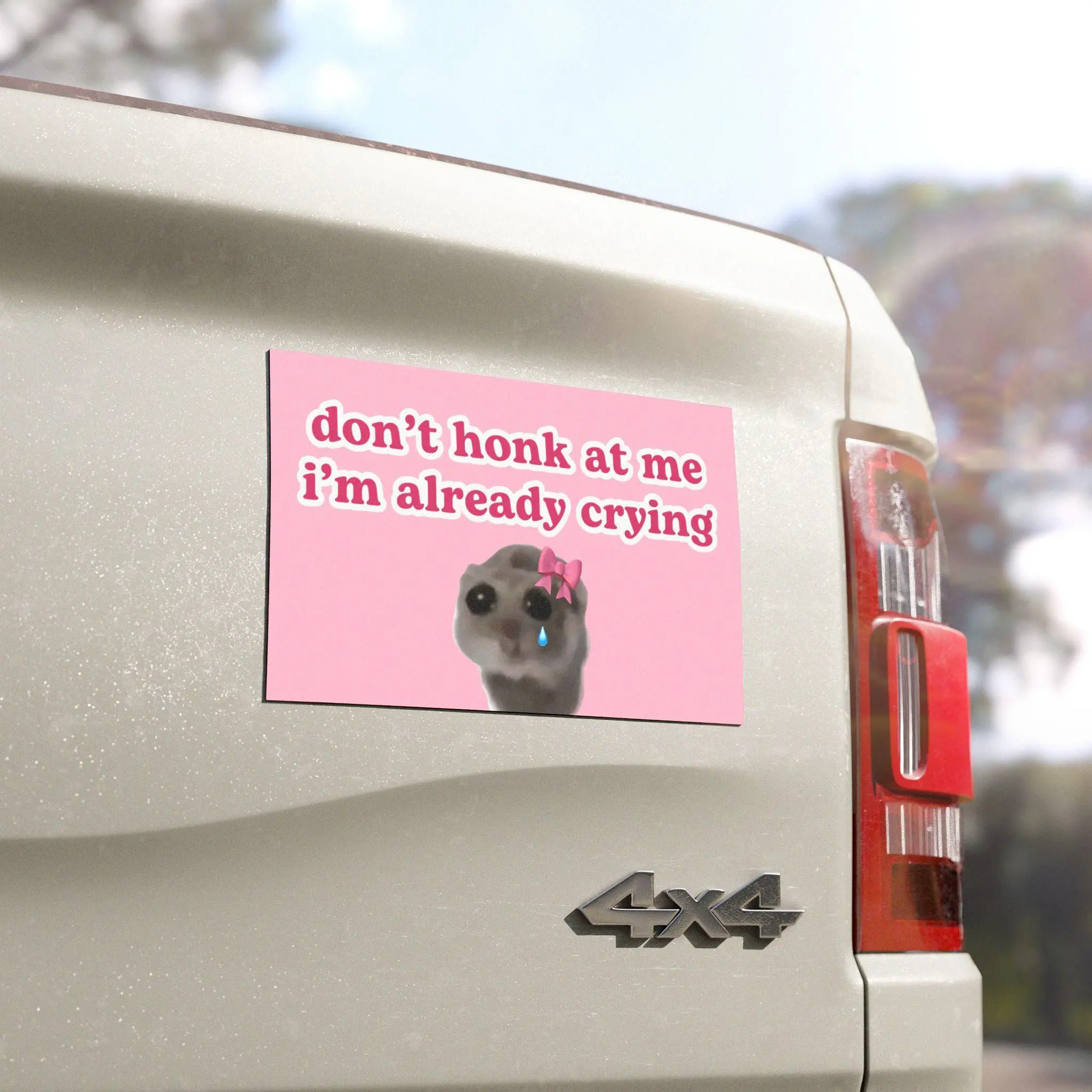 Don't Honk at Me I'm Already Crying Car Magnet, Cute Raccoon Meme, Magnetic Bumper Sticker, Anxious Driver Decor, Truck SUV Accessory, Funny Auto Gift