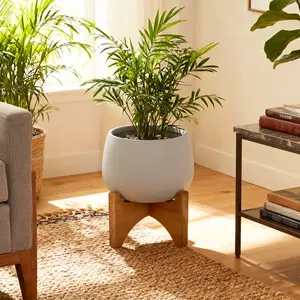 5.8" Soft-touch Round Ceramic Succulent Planter with Wood Stand Hand-crafted by Artisans Soft Grey Brown Stand for Indoor Plants