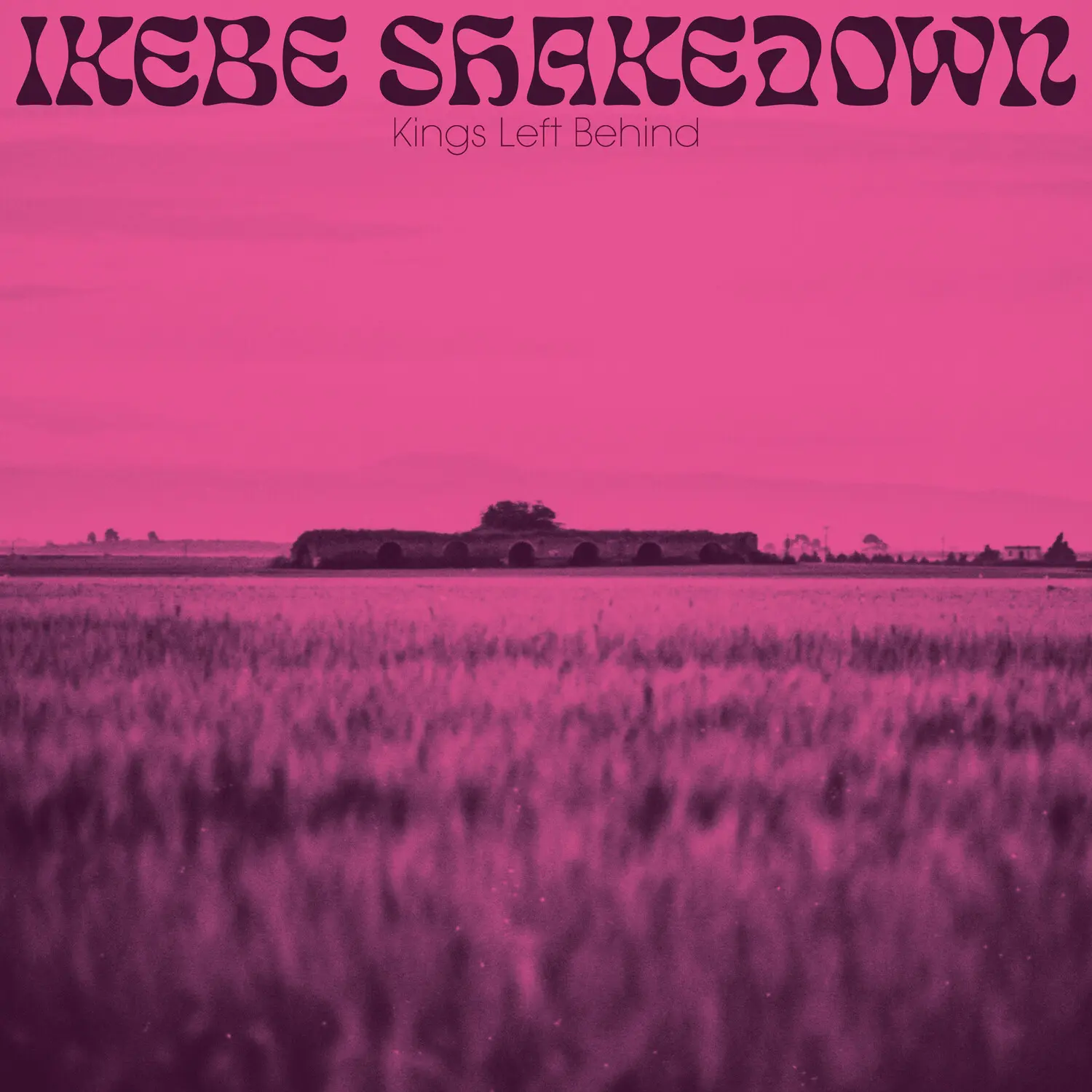 Ikebe Shakedown - Kings Left Behind  [VINYL RECORD - LP]