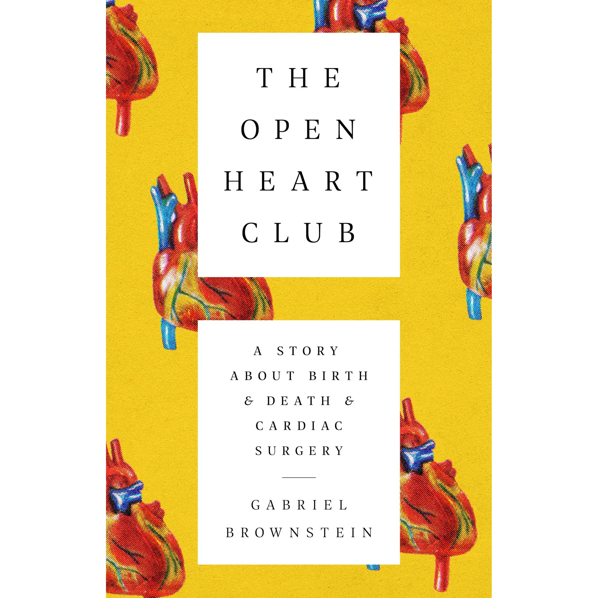 The Open Heart Club by Gabriel Brownstein [Paperback Book]