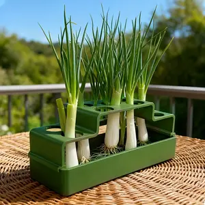 One Piece Chives Regrowth Planter Hydroponic Soil Free Kit For Home Easy Operation Cyclic Harvest Reusable Growing Box Gardening Essential Gift