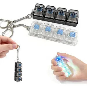 Portable 2-Piece LED Keyboard Fidget Keychain, 4-in-1 Clicker Fidget Toy for Stress Relief & Interactive Play