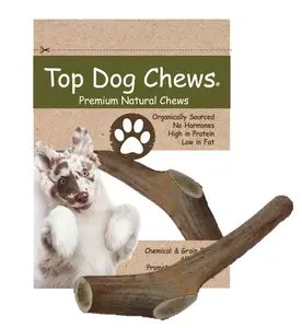 Top Dog Chews Natural Deer Antler Dog Treats Large 1 Piece for Larger Dogs Rich in Calcium and Phosphorus Odorless and Mess-Free
