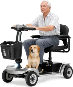 4 Wheel Silver Mobility Scooter for Seniors & Adults, Easy to Use, Operate and Foldable, Heavy Duty 418 LBS, Tight Turning Radius